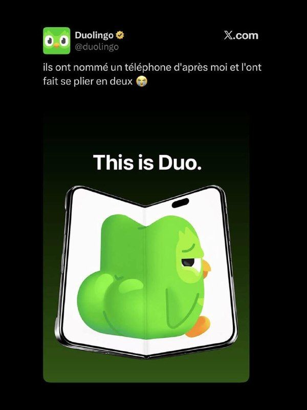 Duolingo не упустил свой шанс потроллить Apple после презентации первого складного iPhone